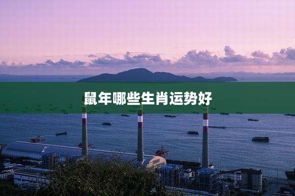 鼠年哪些生肖运势好