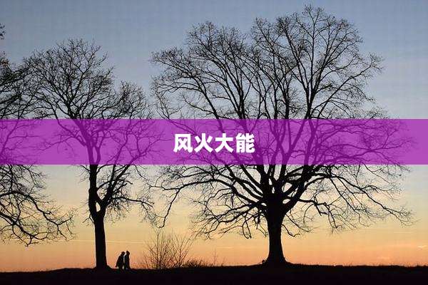 风火大能