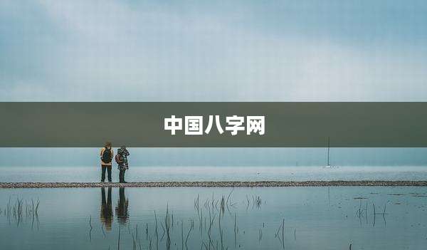 中国八字网