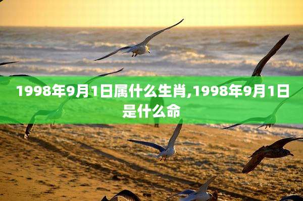 1998年9月1日属什么生肖,1998年9月1日是什么命