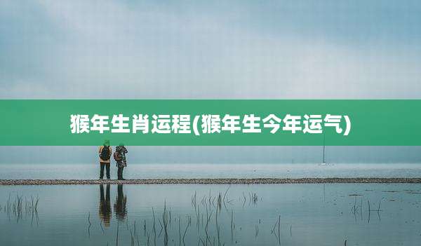 猴年生肖运程(猴年生今年运气)