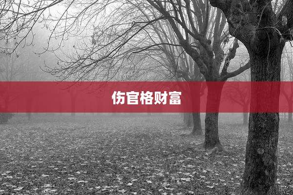 伤官格财富