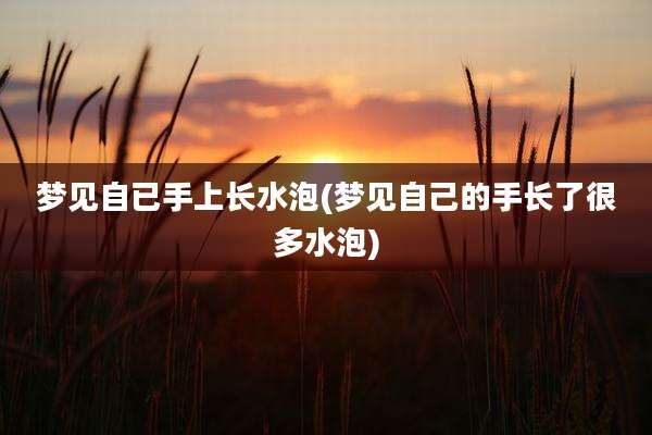 梦见自已手上长水泡(梦见自己的手长了很多水泡)