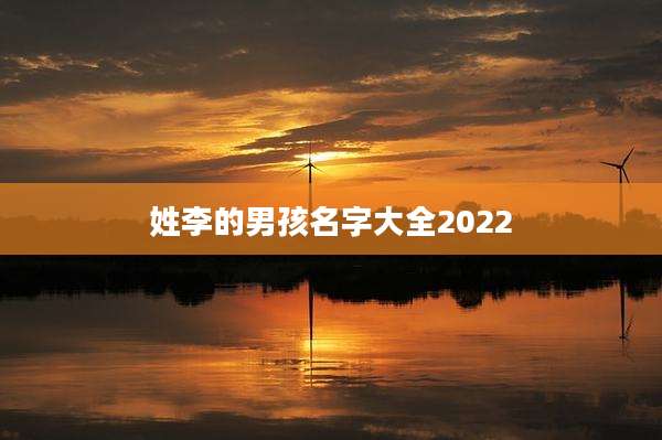 姓李的男孩名字大全2022