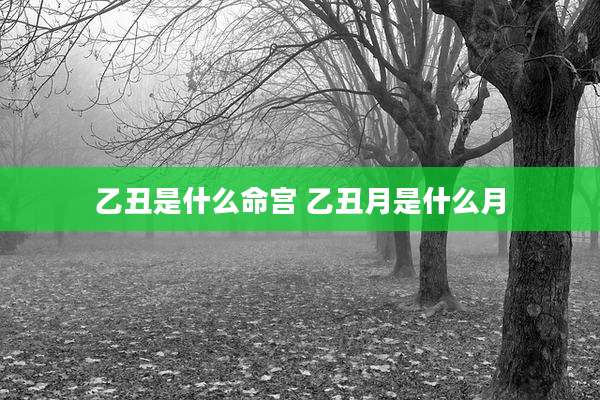 乙丑是什么命宫 乙丑月是什么月