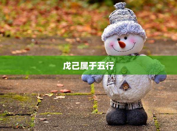 戊己属于五行