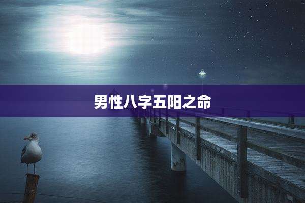 男性八字五阳之命
