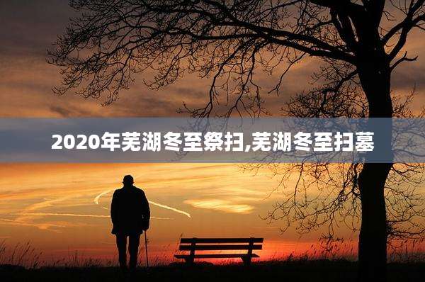 2020年芜湖冬至祭扫,芜湖冬至扫墓