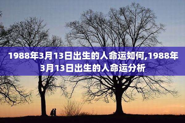 1988年3月13日出生的人命运如何,1988年3月13日出生的人命运分析