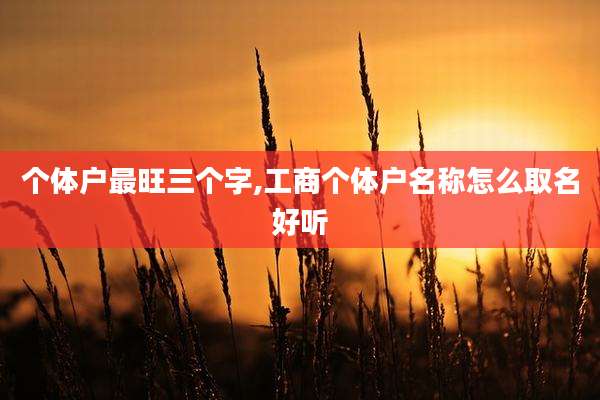 个体户最旺三个字,工商个体户名称怎么取名好听