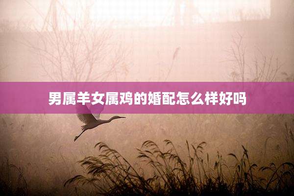 男属羊女属鸡的婚配怎么样好吗