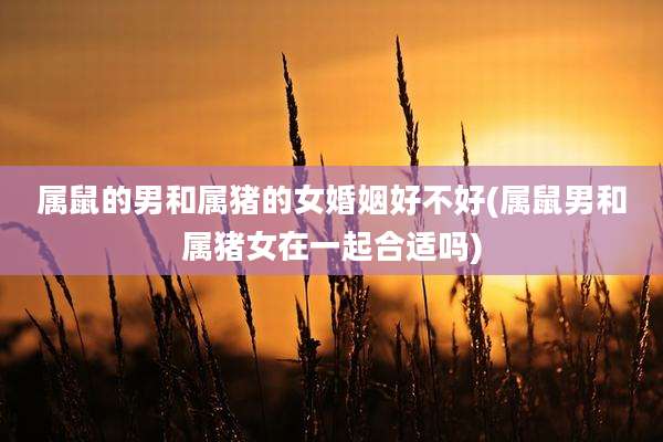 属鼠的男和属猪的女婚姻好不好(属鼠男和属猪女在一起合适吗)