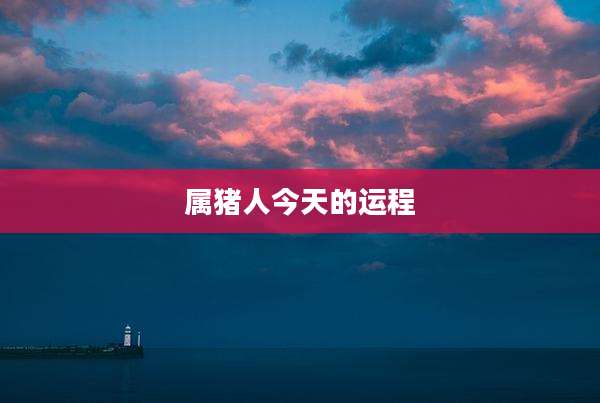 属猪人今天的运程