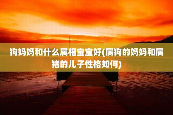 狗妈妈和什么属相宝宝好(属狗的妈妈和属猪的儿子性格如何)
