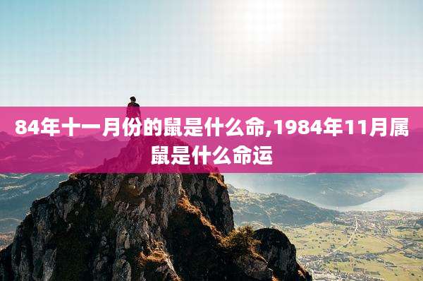 84年十一月份的鼠是什么命,1984年11月属鼠是什么命运