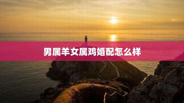 男属羊女属鸡婚配怎么样