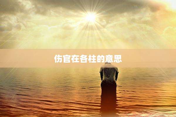 伤官在各柱的意思