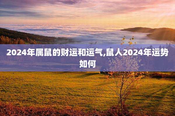 2024年属鼠的财运和运气,鼠人2024年运势如何