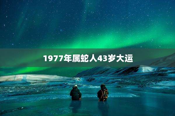 1977年属蛇人43岁大运