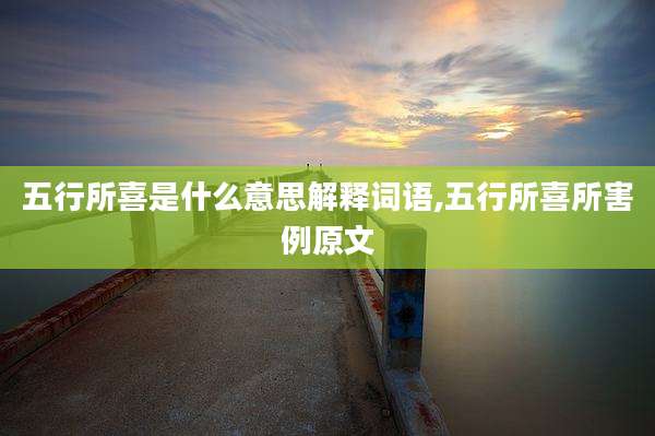 五行所喜是什么意思解释词语,五行所喜所害例原文