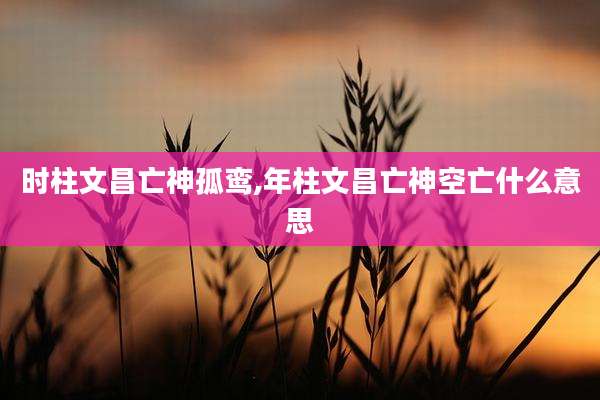 时柱文昌亡神孤鸾,年柱文昌亡神空亡什么意思