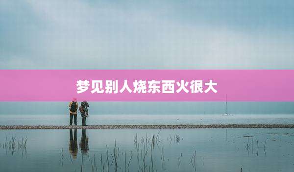 梦见别人烧东西火很大