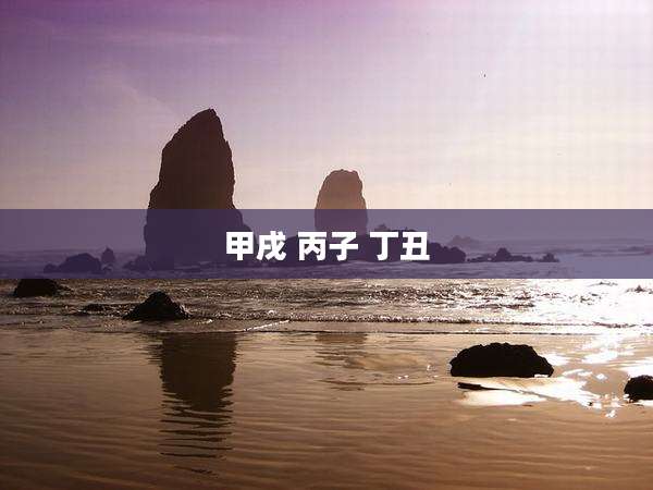 甲戌 丙子 丁丑