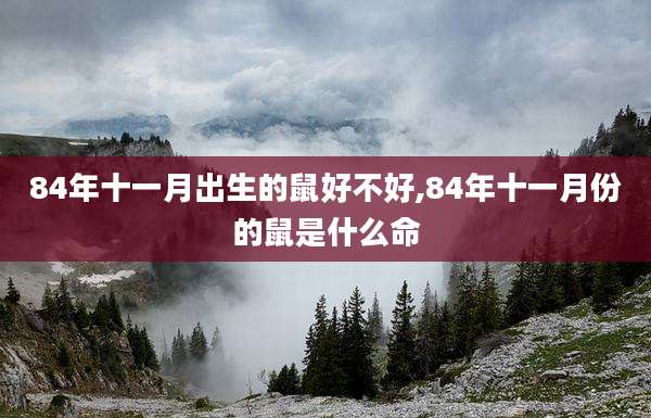 84年十一月出生的鼠好不好,84年十一月份的鼠是什么命