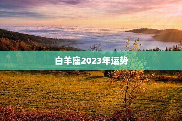 白羊座2023年运势