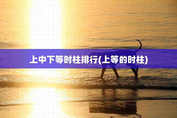 上中下等时柱排行(上等的时柱)