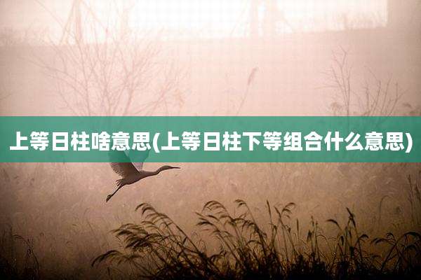 上等日柱啥意思(上等日柱下等组合什么意思)