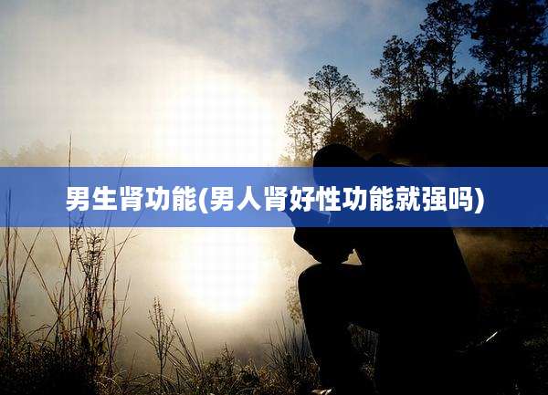 男生肾功能(男人肾好性功能就强吗)