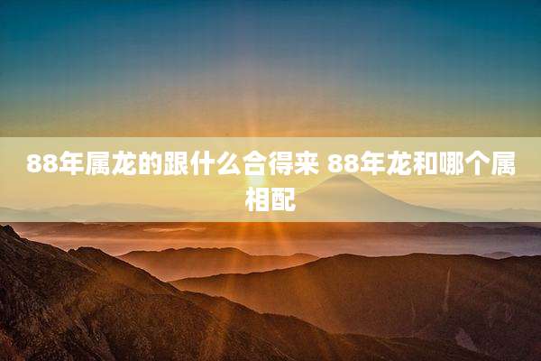 88年属龙的跟什么合得来 88年龙和哪个属相配