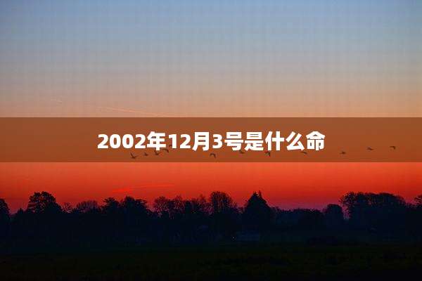 2002年12月3号是什么命