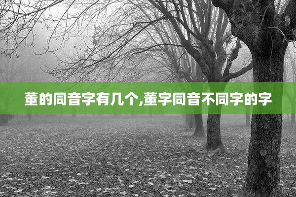 董的同音字有几个,董字同音不同字的字