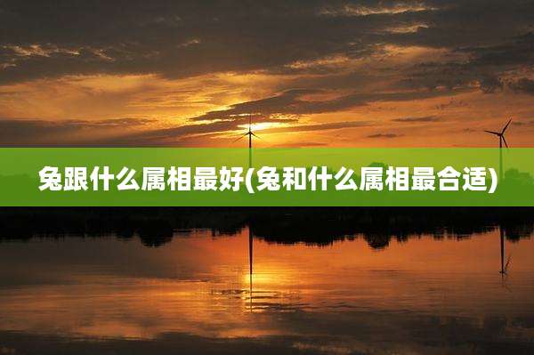 兔跟什么属相最好(兔和什么属相最合适)