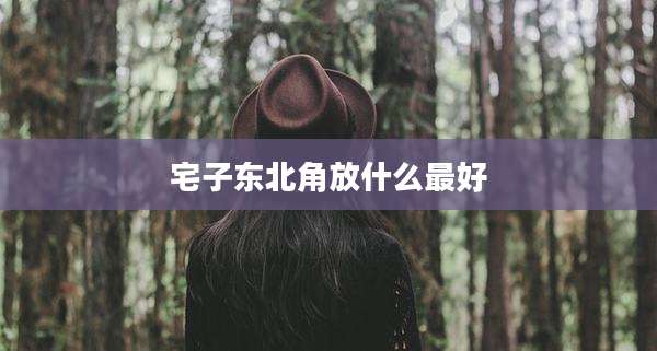 宅子东北角放什么最好