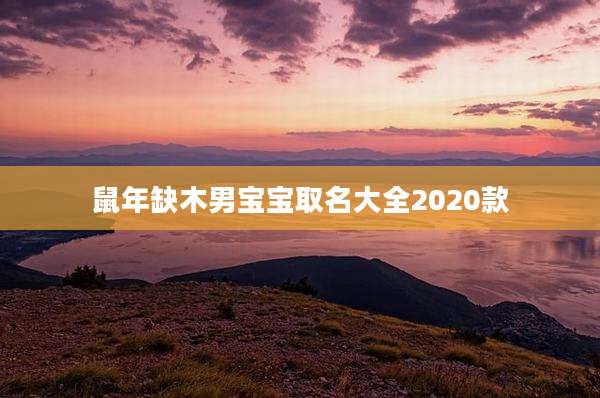 鼠年缺木男宝宝取名大全2020款