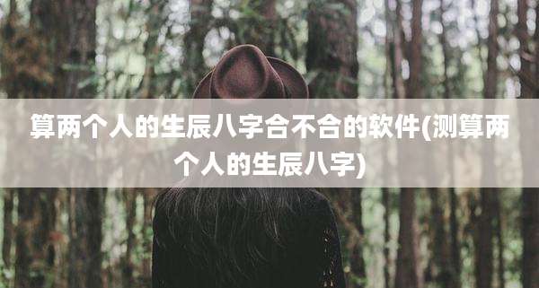算两个人的生辰八字合不合的软件(测算两个人的生辰八字)