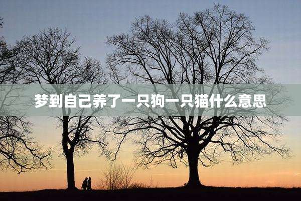 梦到自己养了一只狗一只猫什么意思