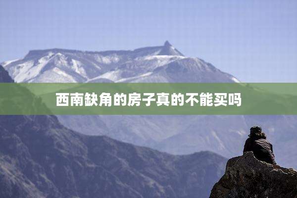 西南缺角的房子真的不能买吗