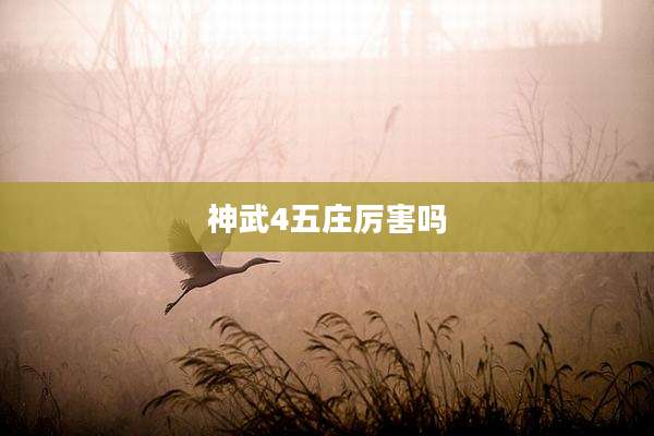神武4五庄厉害吗