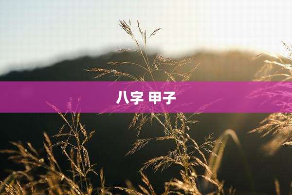 八字 甲子