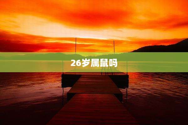 26岁属鼠吗