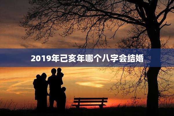 2019年己亥年哪个八字会结婚