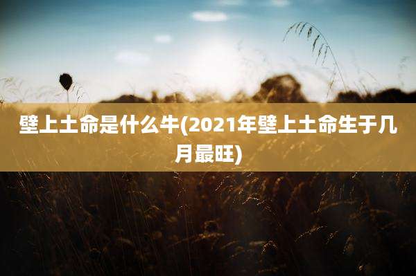 壁上土命是什么牛(2021年壁上土命生于几月最旺)