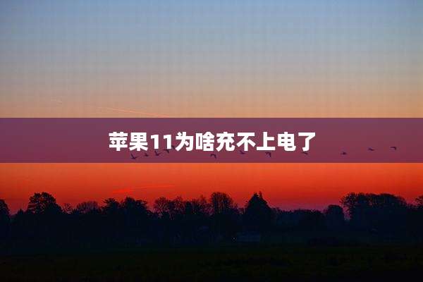 苹果11为啥充不上电了