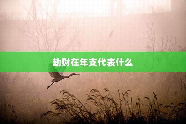劫财在年支代表什么