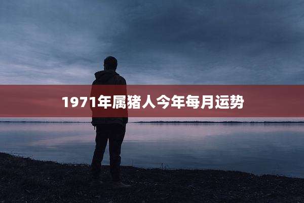 1971年属猪人今年每月运势