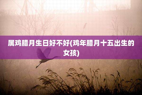 属鸡腊月生日好不好(鸡年腊月十五出生的女孩)